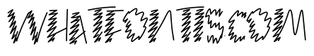 Draw  Book