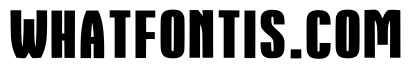 Domino Serif Regular