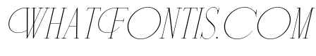 Disthero Italic