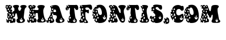 Dinosaur Design