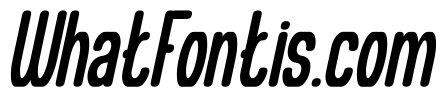 Different Logic Bold Italic