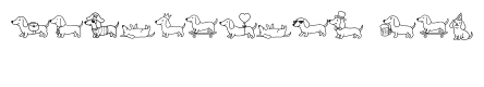 Dachshund Lover