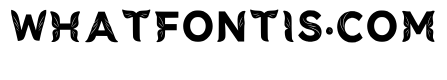 Cycas Regular
