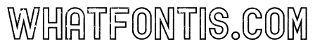 Creative Narrow Regular