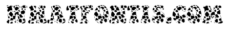 Cow black Font