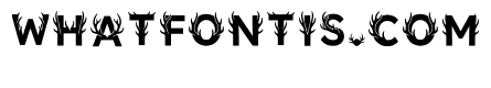 Corrugated Regular