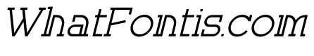 Corina Elegant Italic
