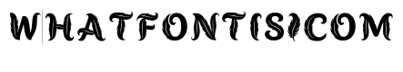 Coont Regular