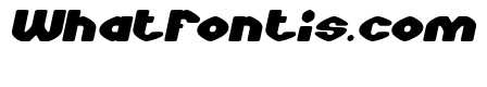 COOKIE CLUB Italic