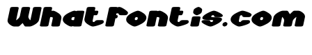 COOKIE CLUB Bold Italic