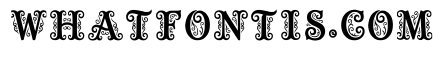 Cerne Regular