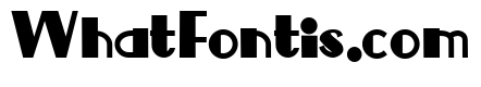 ZP Central Perk Bold