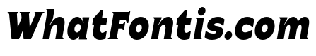 Celvor Edition Black Italic