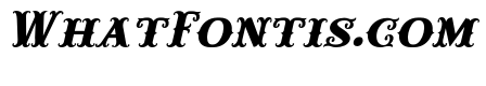 Carnival Lights Italic