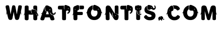 Cackle Regular