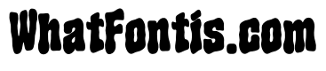 Bold Orbit
