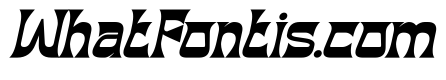 BLACK DRAGON Bold Italic