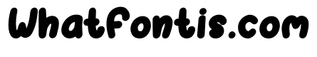 Birdview Bold Italic