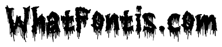 Beyond Black Metal Regular