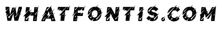 Berta Regular