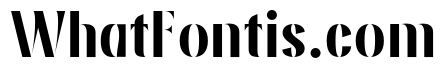 Avoria Bold