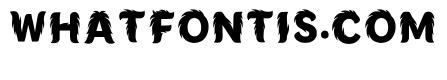 Attis Regular