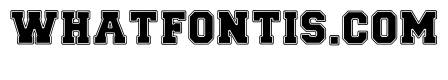 Athletic Baseball Regular
