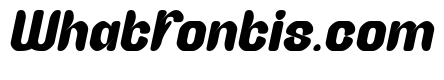 ARCADIA DREAM Bold Italic