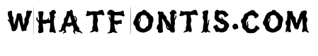 Anti_design Regular