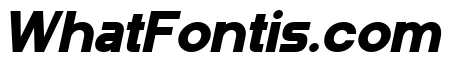 Andro Network Black Italic