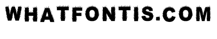 Anart Regular