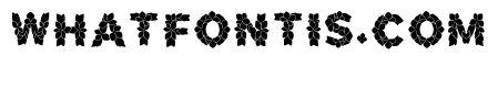 Amethyst_clustered Regular