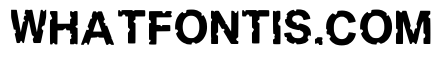 Alexa Regular