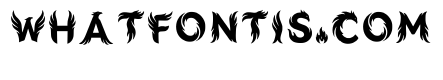 Ajoit Regular