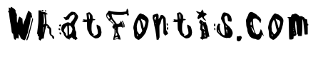 Dadareism Regular