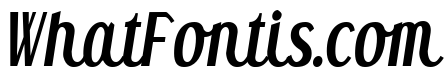 Heni Panjaitan Bold Italic