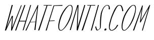 Swallow Falls Lite Italic