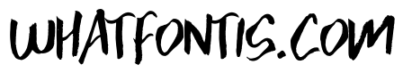Zonijone Regular