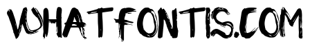 PIRATES