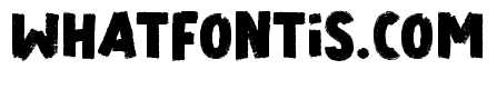 Sport Brand