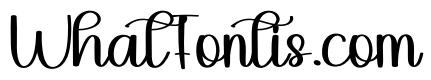 Writer