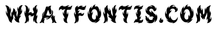 Yellowfin Regular