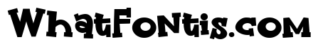PN Wiper Bold