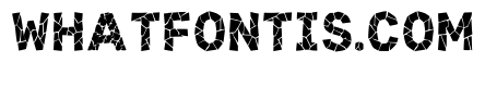 Tom Regular