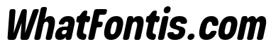 Takugi Italic