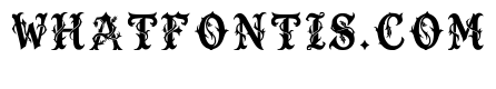 Snapper Regular