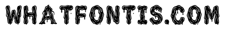 Saif Regular