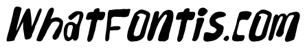 Rokam Letter Italic