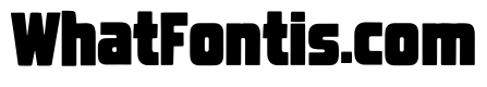 Retailonic