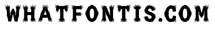 Nast Regular